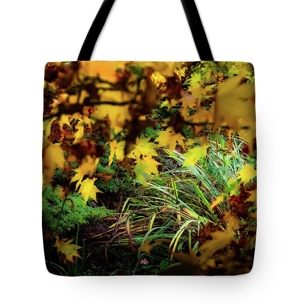 Tree Tote Bag featuring the photograph Autumn Branches by Christopher Maxum