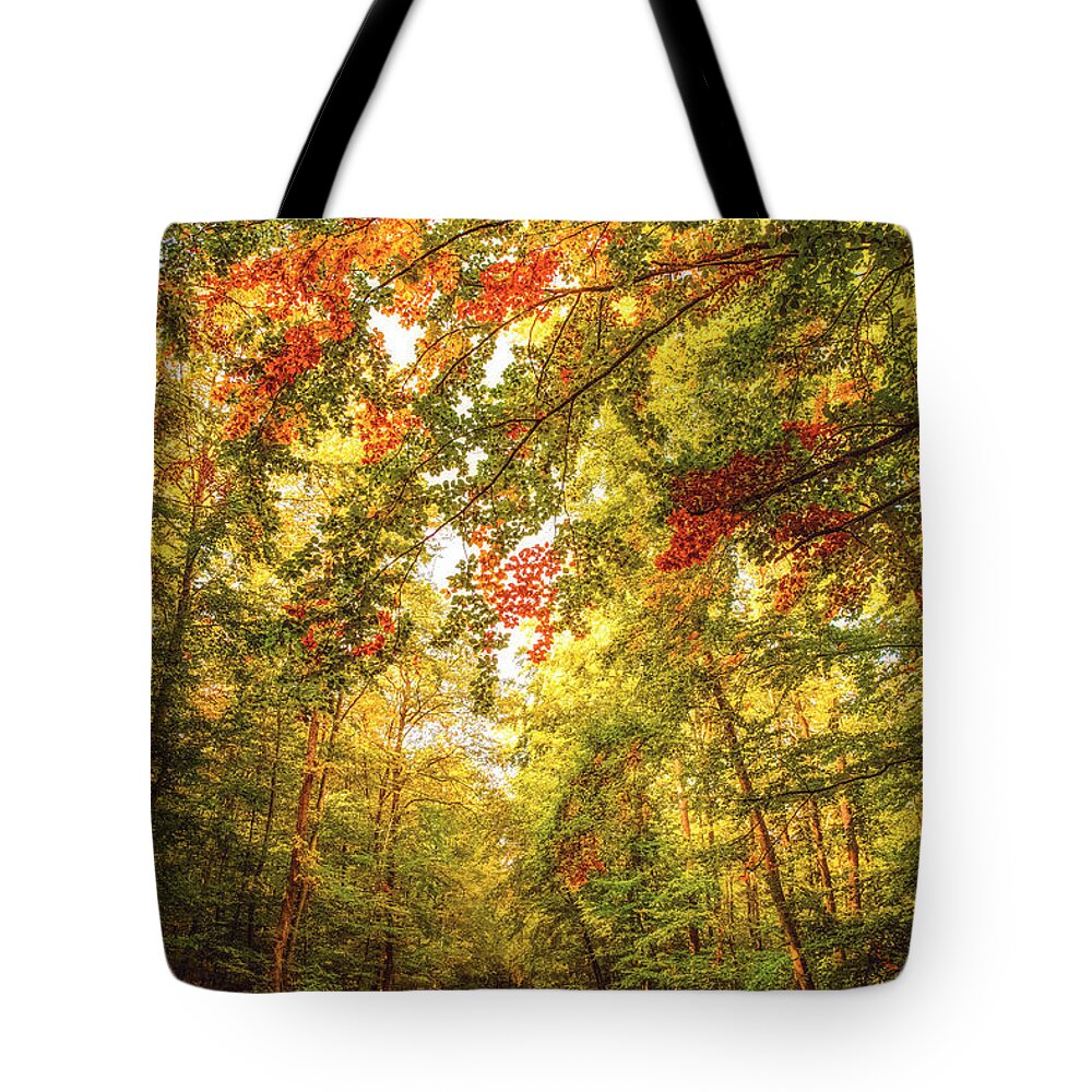 Autumn Tote Bag featuring the photograph Autumn Colorful Path by Philippe Sainte-Laudy