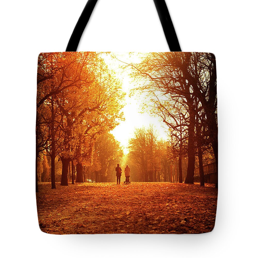 Orange Color Tote Bag featuring the photograph Autumn Day In Schonbrunn Park by Aleksandarnakic