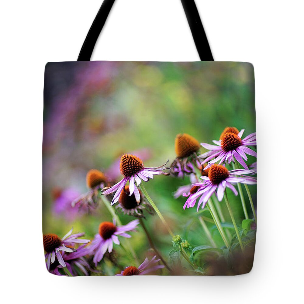 Outdoors Tote Bag featuring the photograph Autumn Echinacea by By Kelly Sereda © 2011