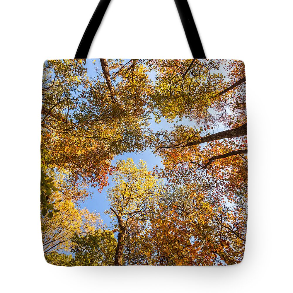 Autumn Tote Bag featuring the photograph Autumn Fall by Chris Spencer