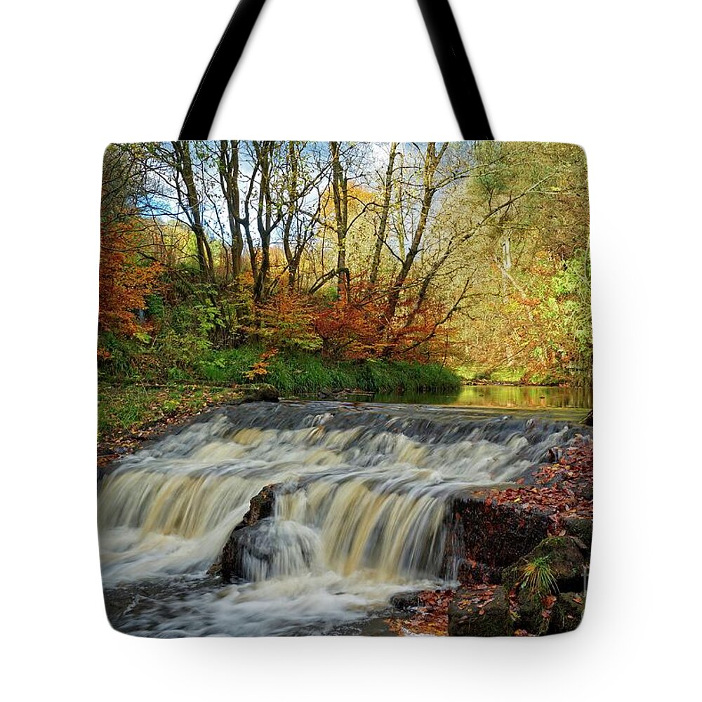 Autumn Tote Bag featuring the photograph Autumn Flow by David Birchall