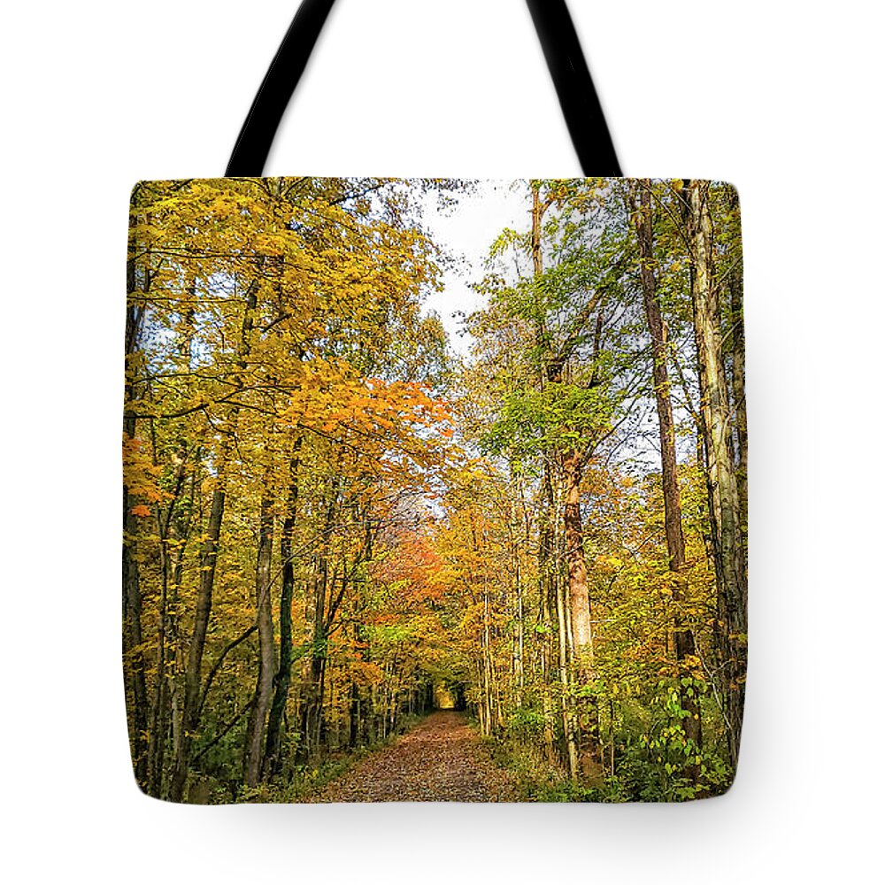 Autumn Leaves Tote Bag featuring the photograph Autumn Leaves by Chris Spencer