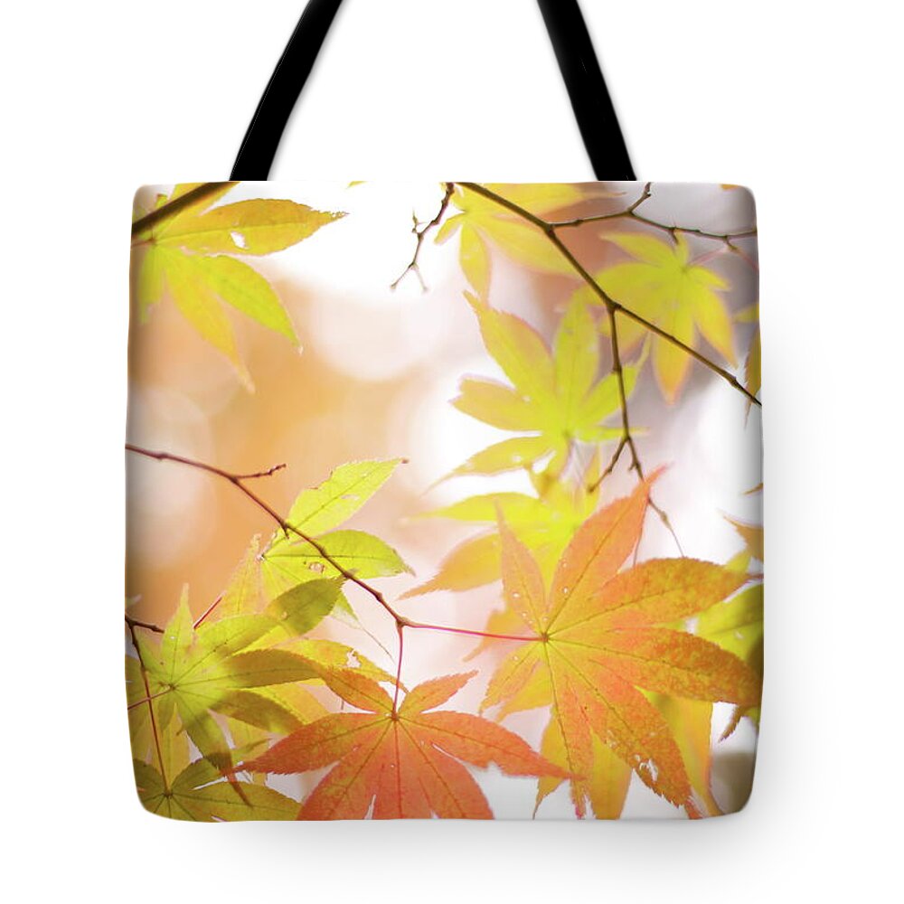 Hanging Tote Bag featuring the photograph Autumn Leaves by Cocoaloco