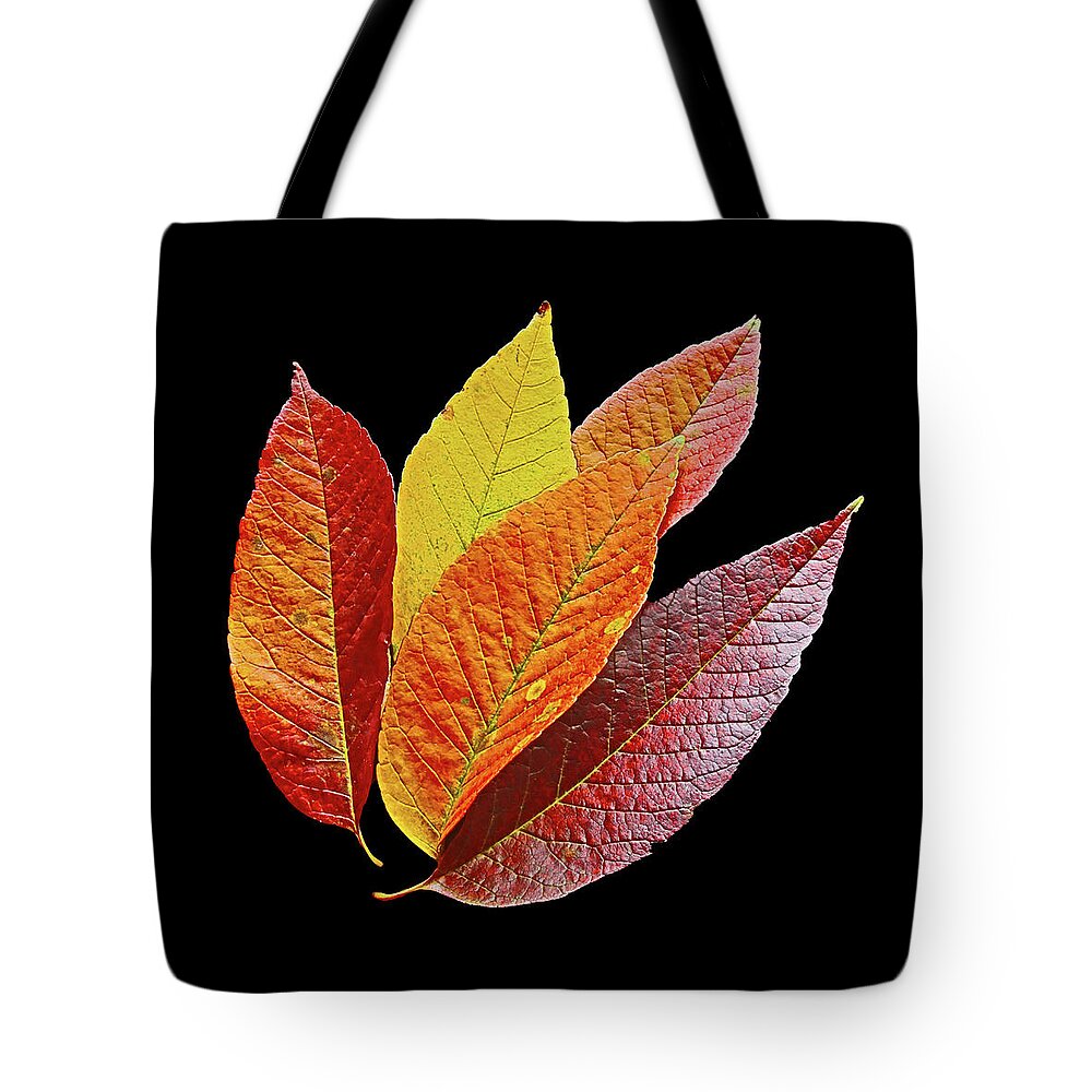 Leaf Tote Bag featuring the photograph Autumn Leaves From Ash Tree by Ira Marcus