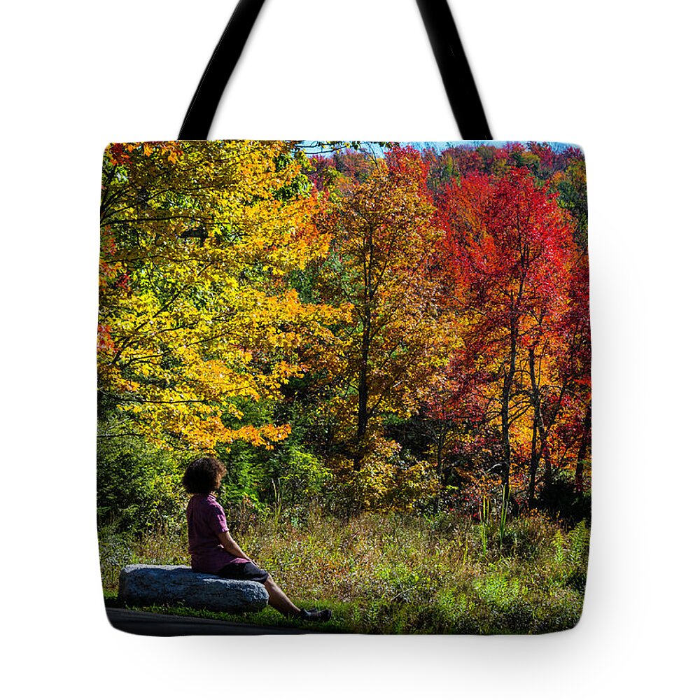 Autumn Leaves Tote Bag featuring the photograph Autumn Leaves in the Catskill Mountains by Kenneth Cole
