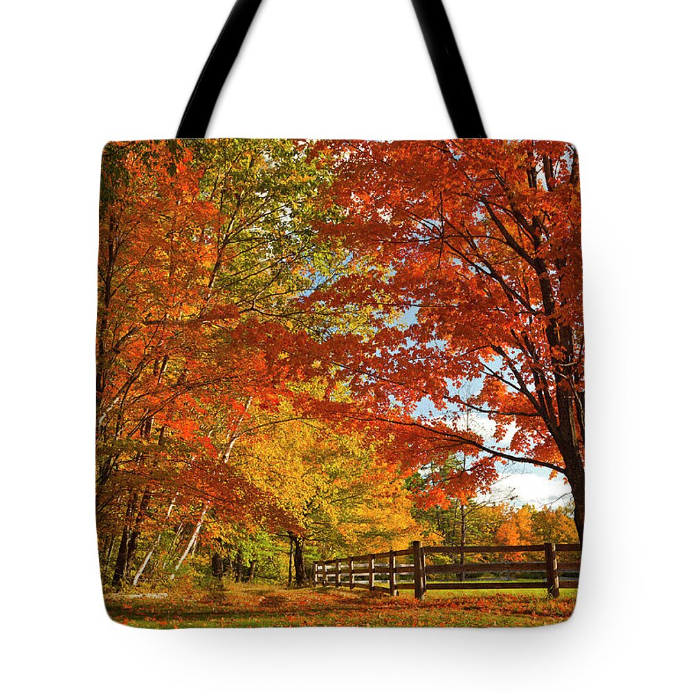 Estock Tote Bag featuring the digital art Autumn Near Conway, New Hampshire by Claudia Uripos