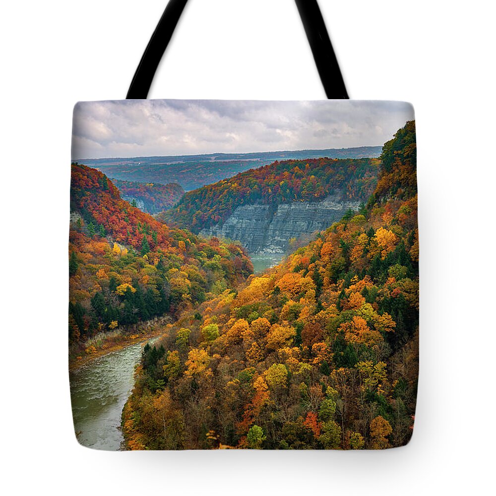 Letchworth State Park Tote Bag featuring the photograph Autumn overlook by Mark Papke