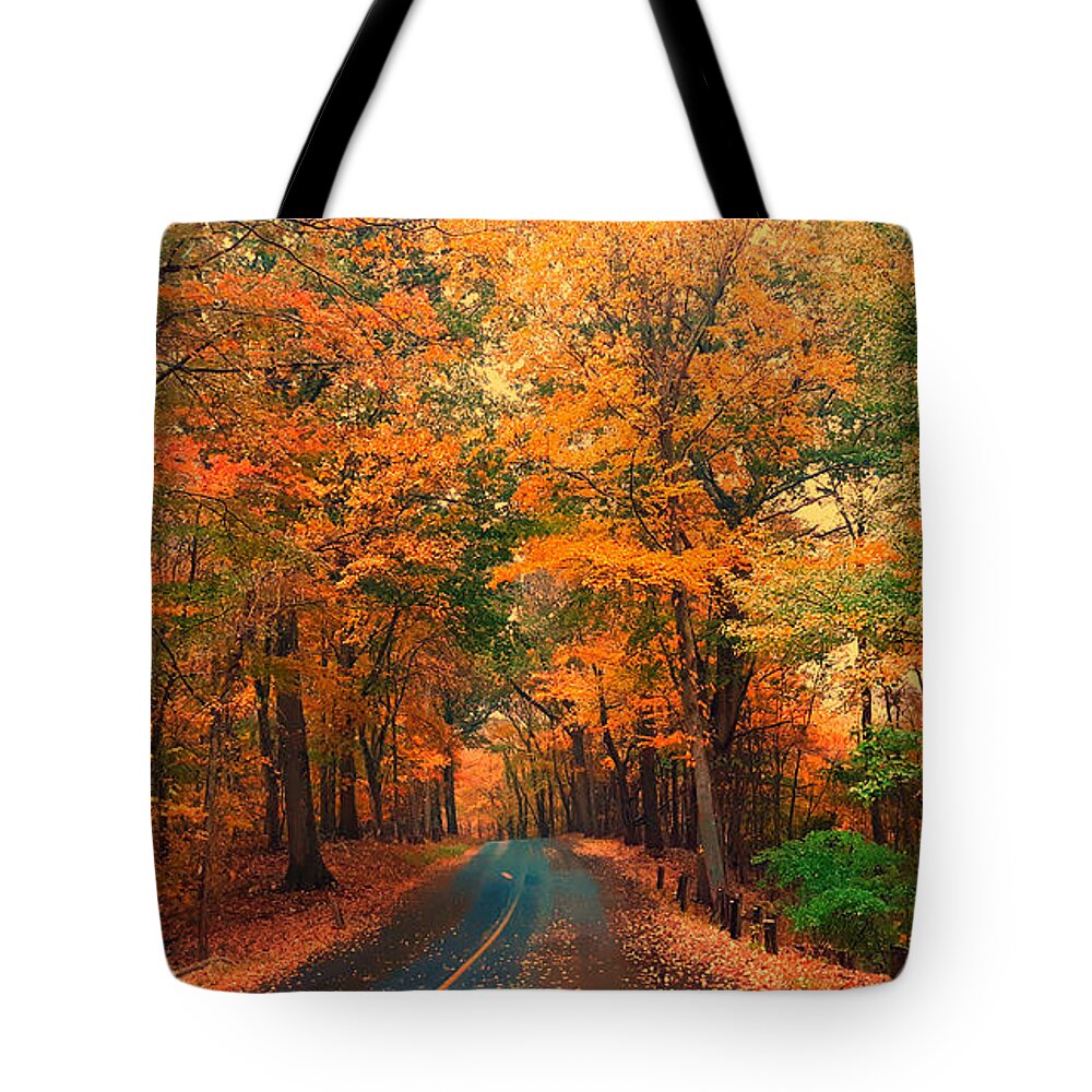 Foliage Tote Bag featuring the photograph Autumn Rain by Dani McEvoy