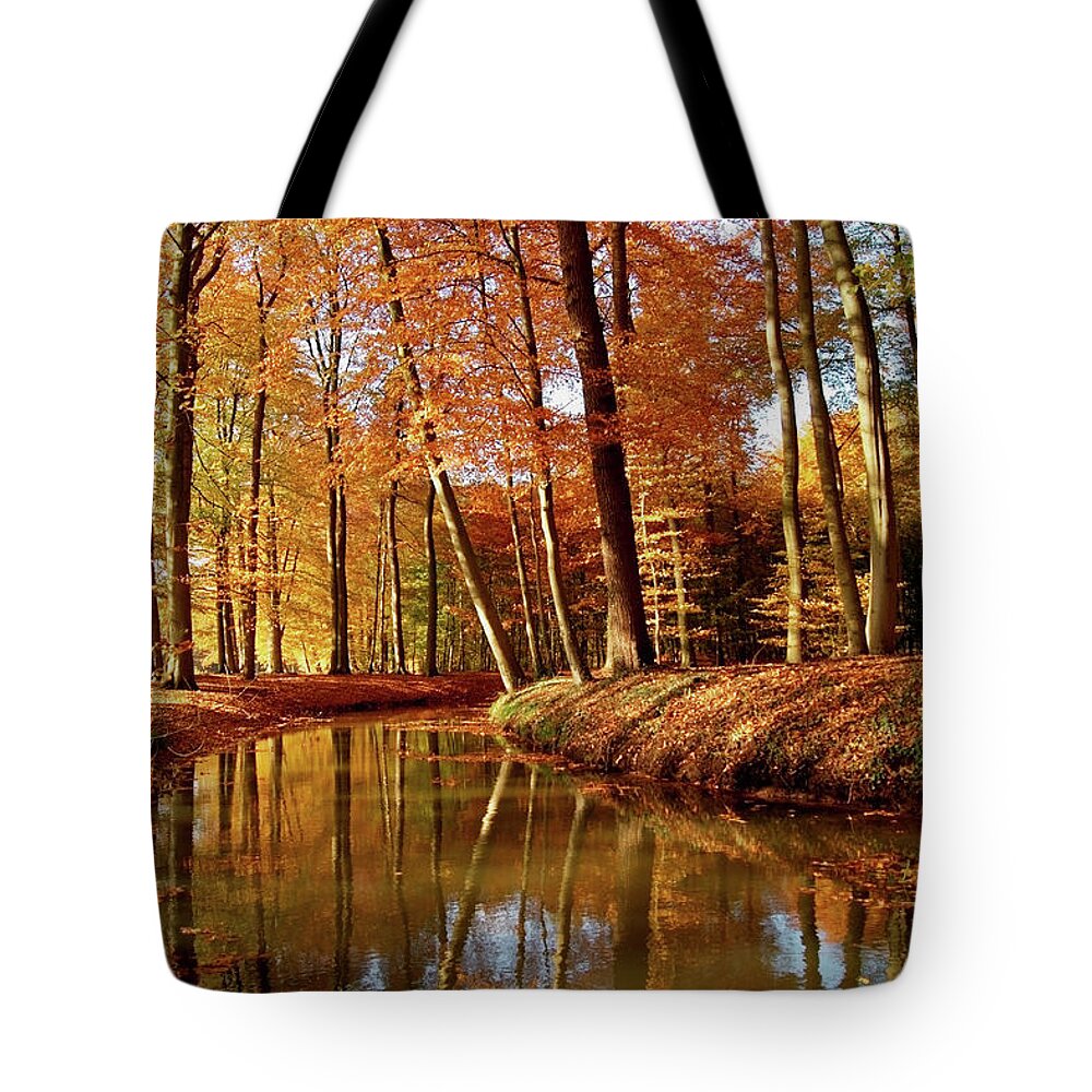 Scenics Tote Bag featuring the photograph Autumn Reflections by Bob Van Den Berg Photography