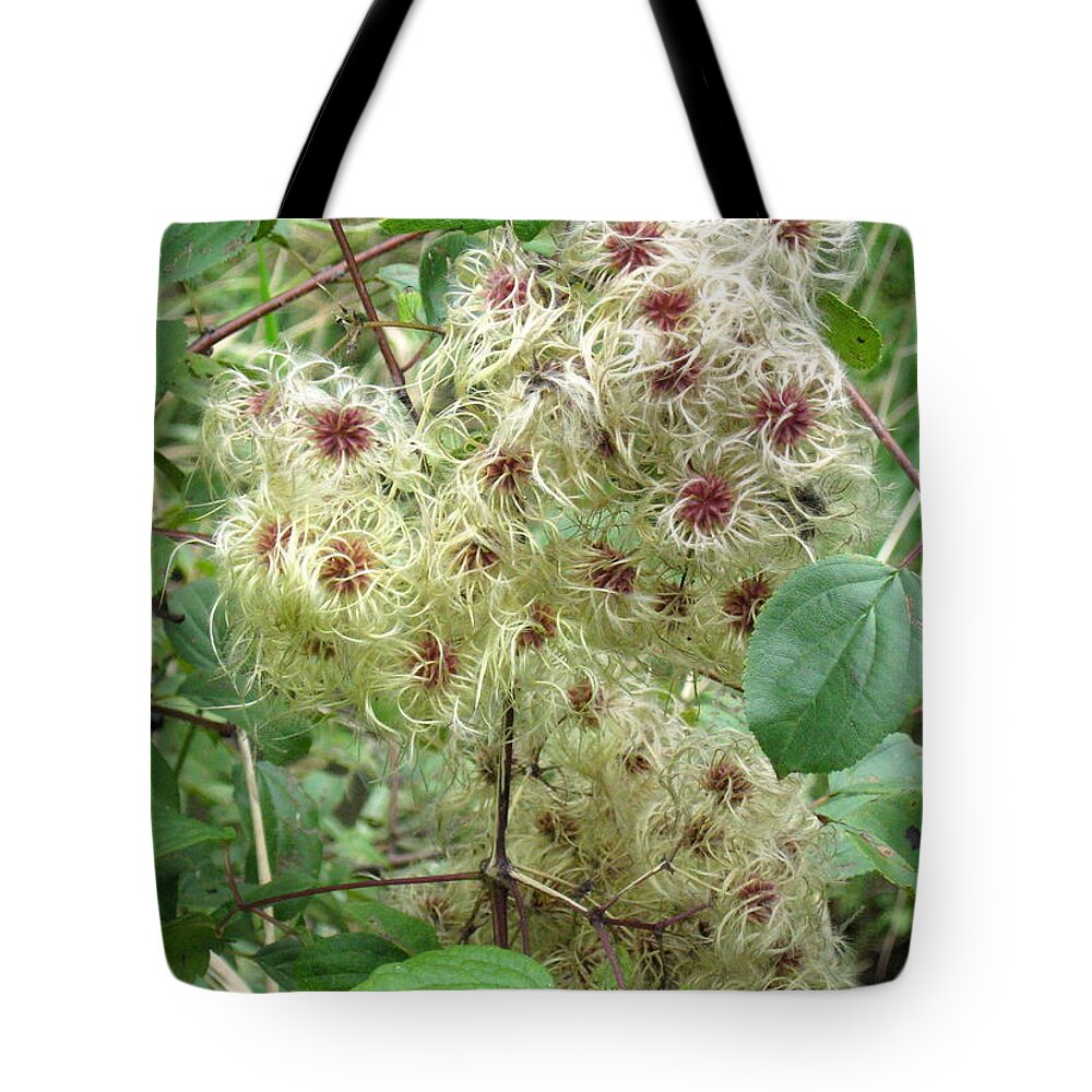Autumn Tote Bag featuring the photograph Autumn by Richard Stanford