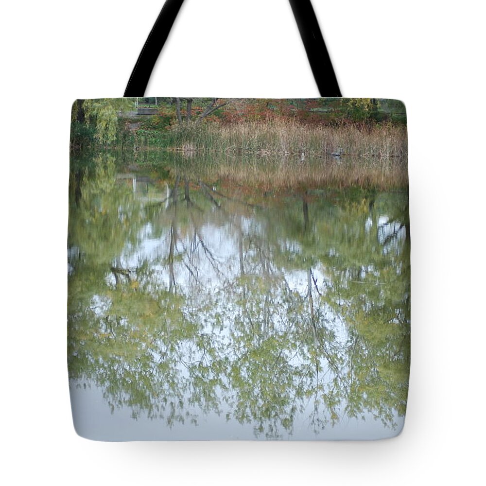  Tote Bag featuring the photograph Autumn Transition 95 by Ee Photography