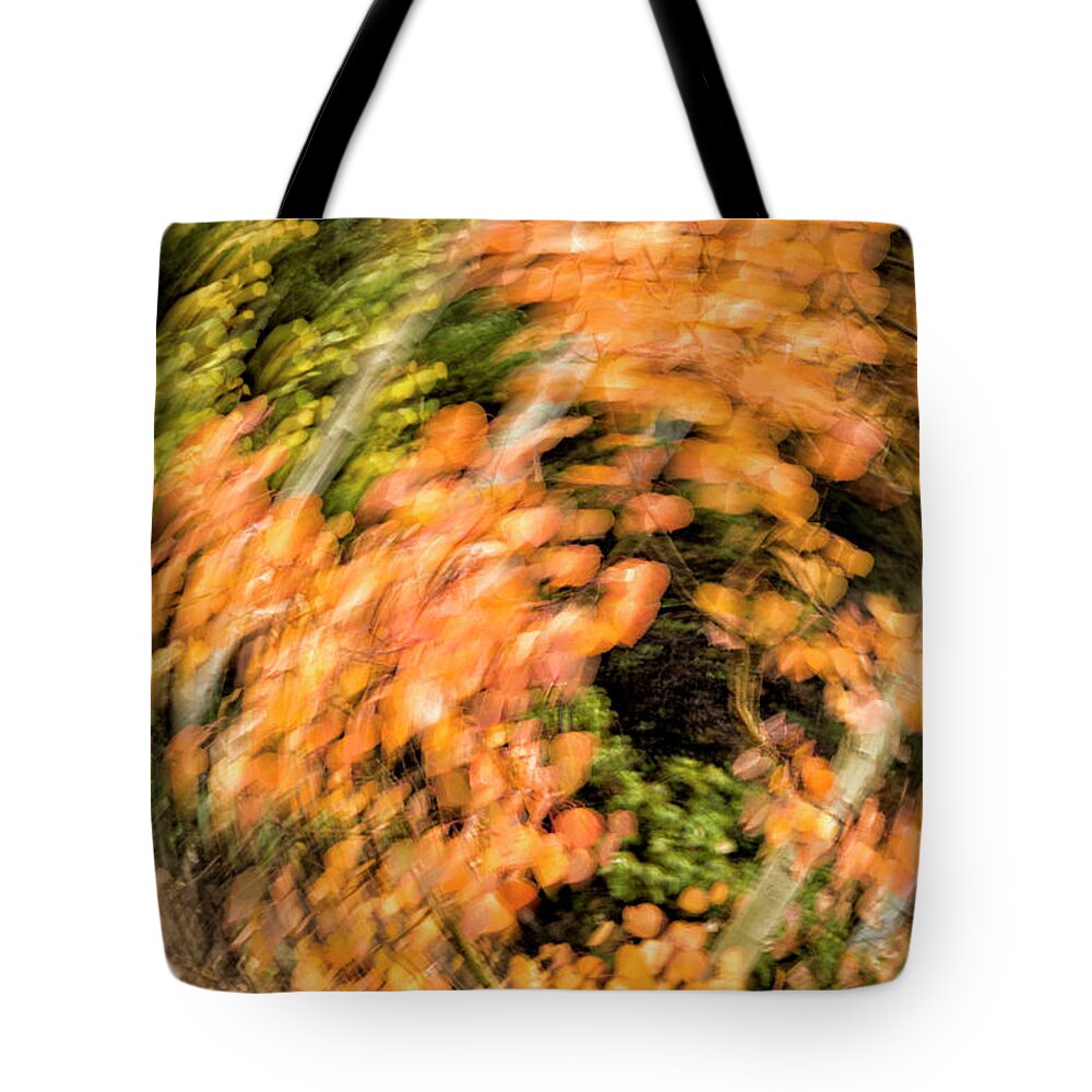 Abstract Tote Bag featuring the photograph Autumn Vortex by Denise Bush