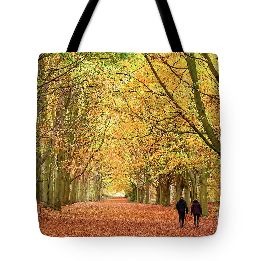 Norfolk Tote Bag featuring the photograph Norfolk autumn walk in the woodland by Simon Bratt