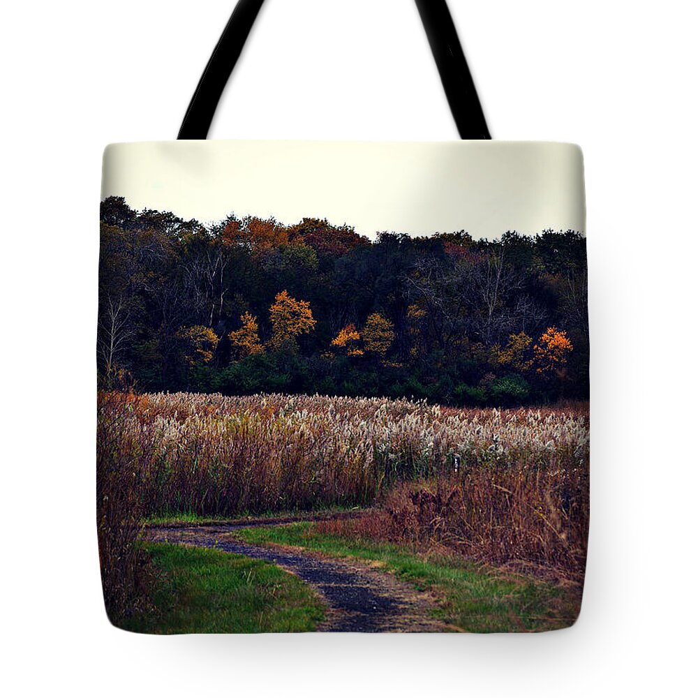 Landscape Tote Bag featuring the photograph Autumn Wetlands by Frank J Casella