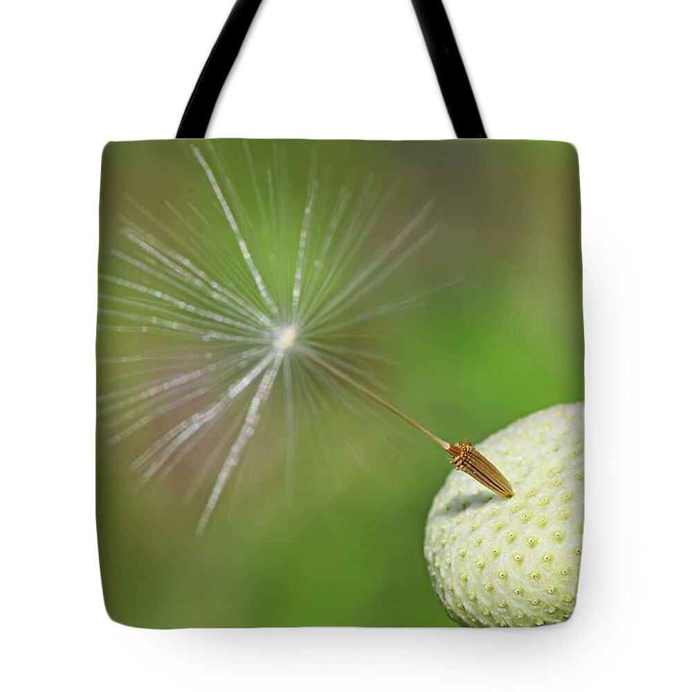 Plant Tote Bag featuring the photograph Autumn's end by Martin Smith
