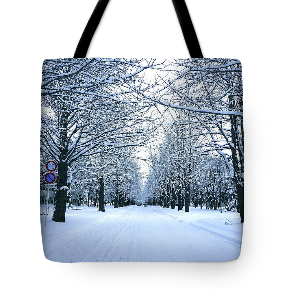 Tranquility Tote Bag featuring the photograph Avenue Of Ginkgo Trees In Winter by Taketan