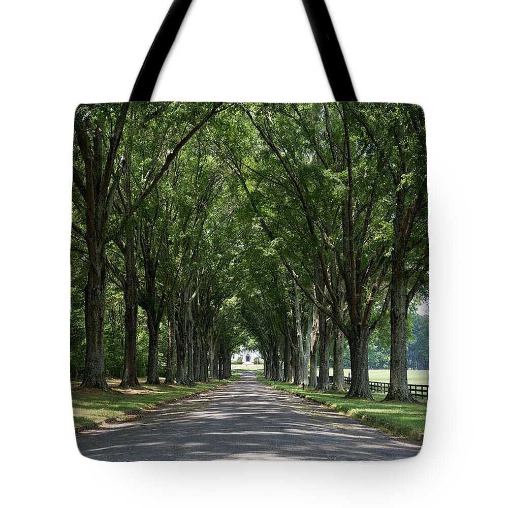 Berry College Tote Bag featuring the photograph Avenue of Trees by Douglas Wielfaert