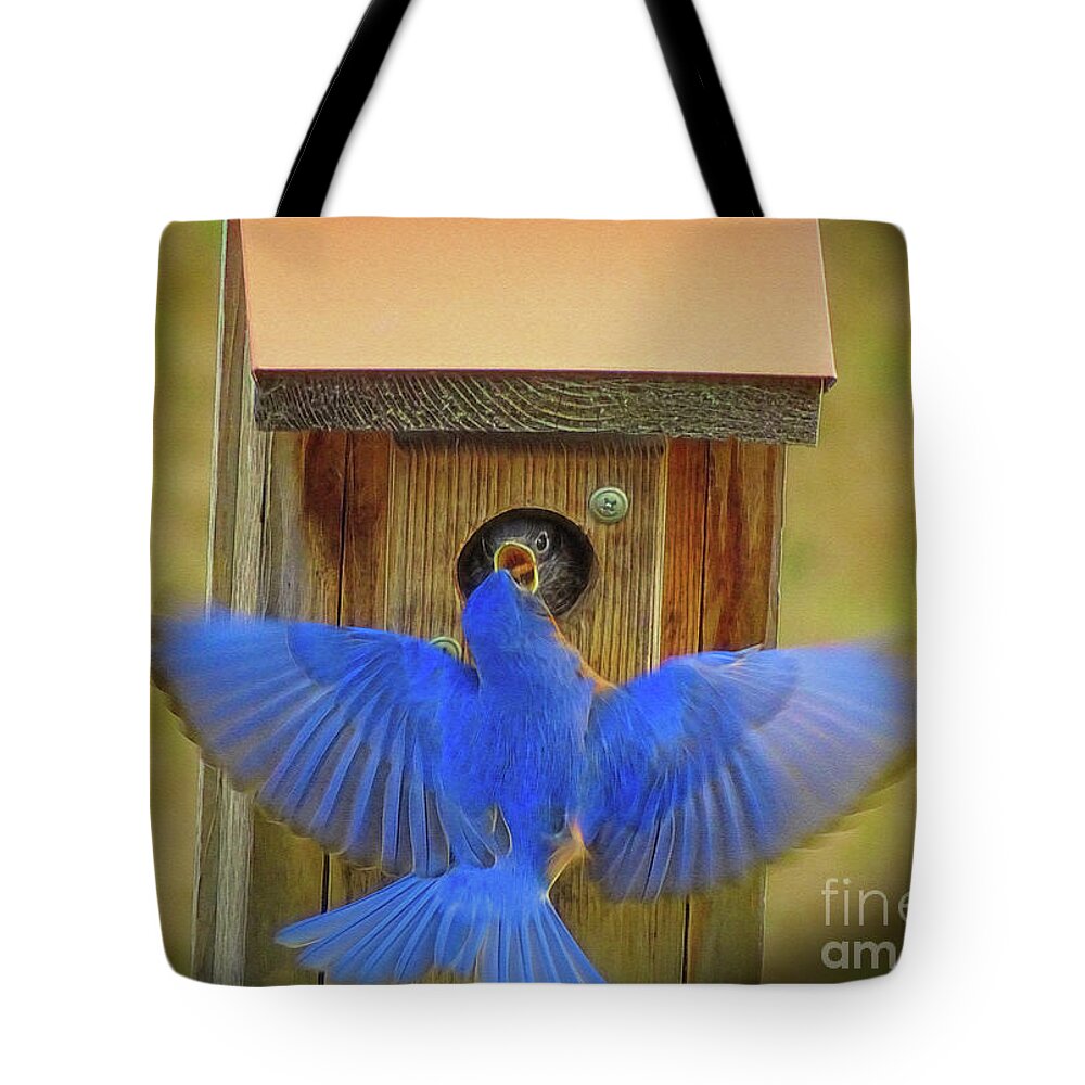 Bluebird Tote Bag featuring the photograph Baby Bluebird Feeding Time by Sue Melvin