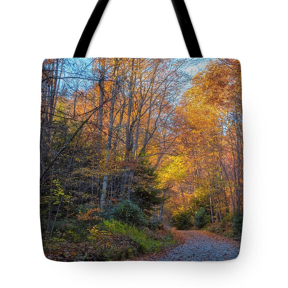 Back Road Beauty Tote Bag featuring the photograph Back Road Beauty by Russell Pugh