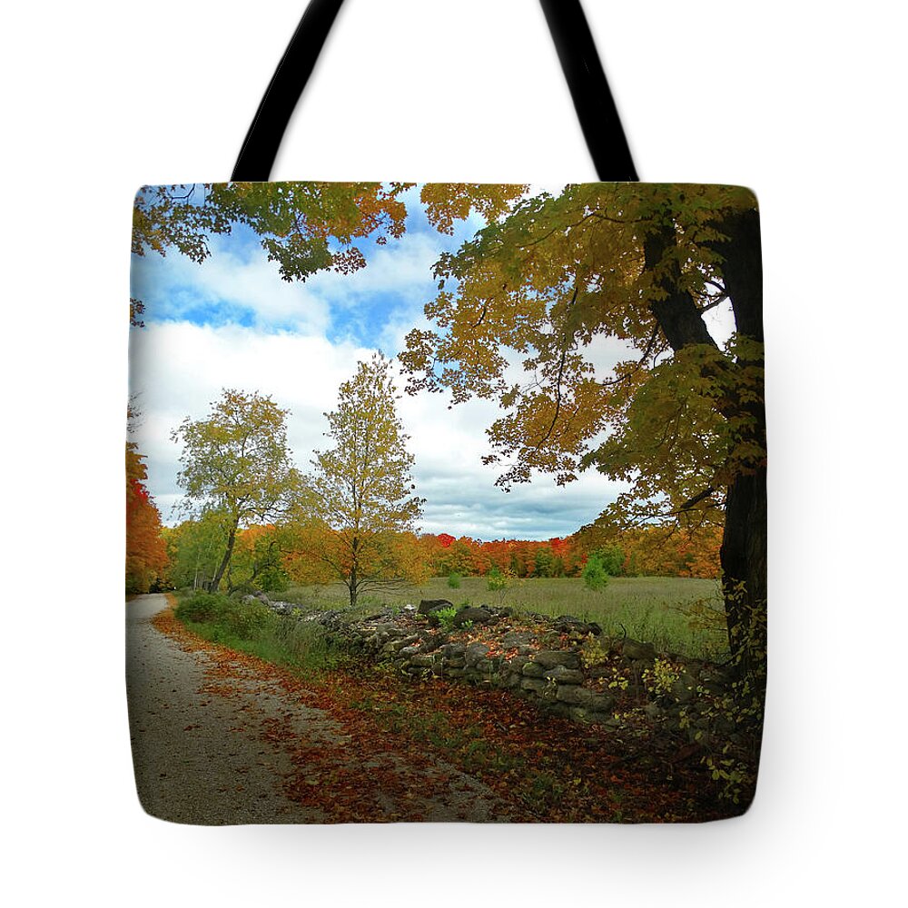 October Tote Bag featuring the photograph Back Road Fall Colors by David T Wilkinson