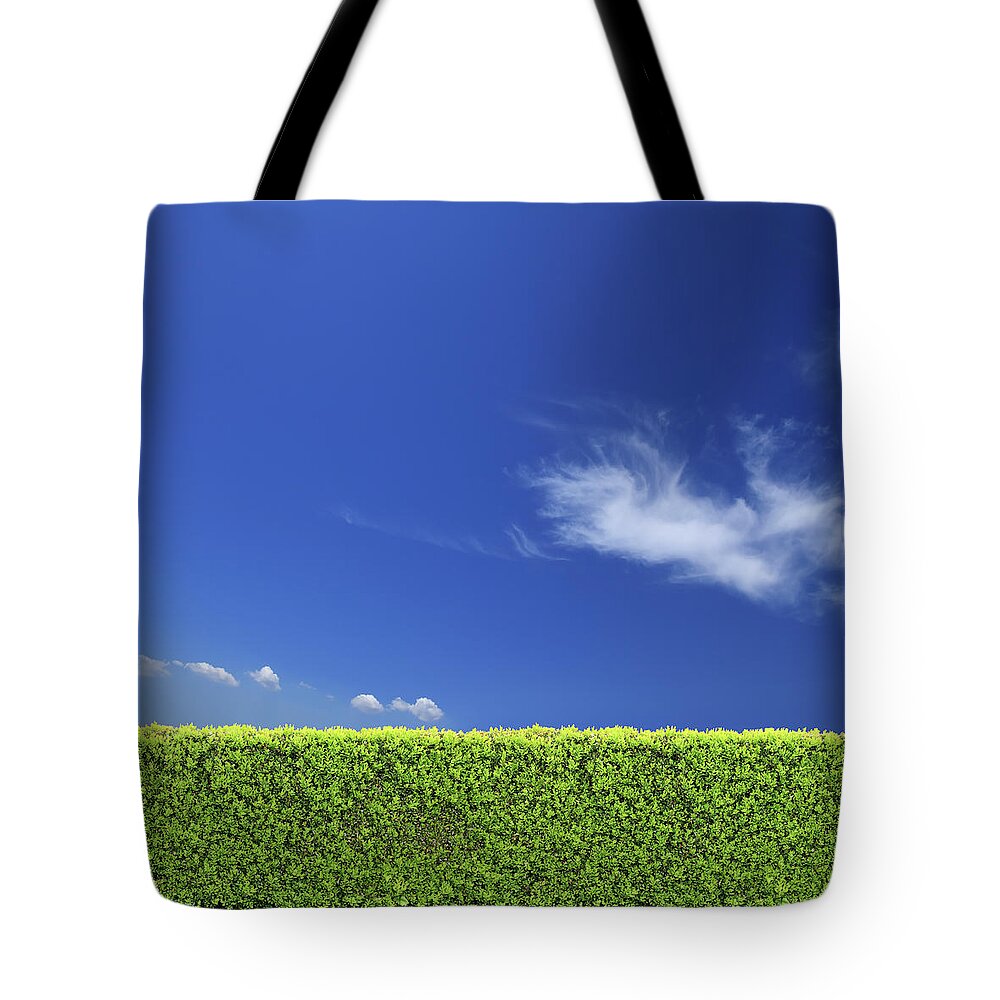 Empty Tote Bag featuring the photograph Backyard Bush Fence Over Clear Sky by Imagedepotpro