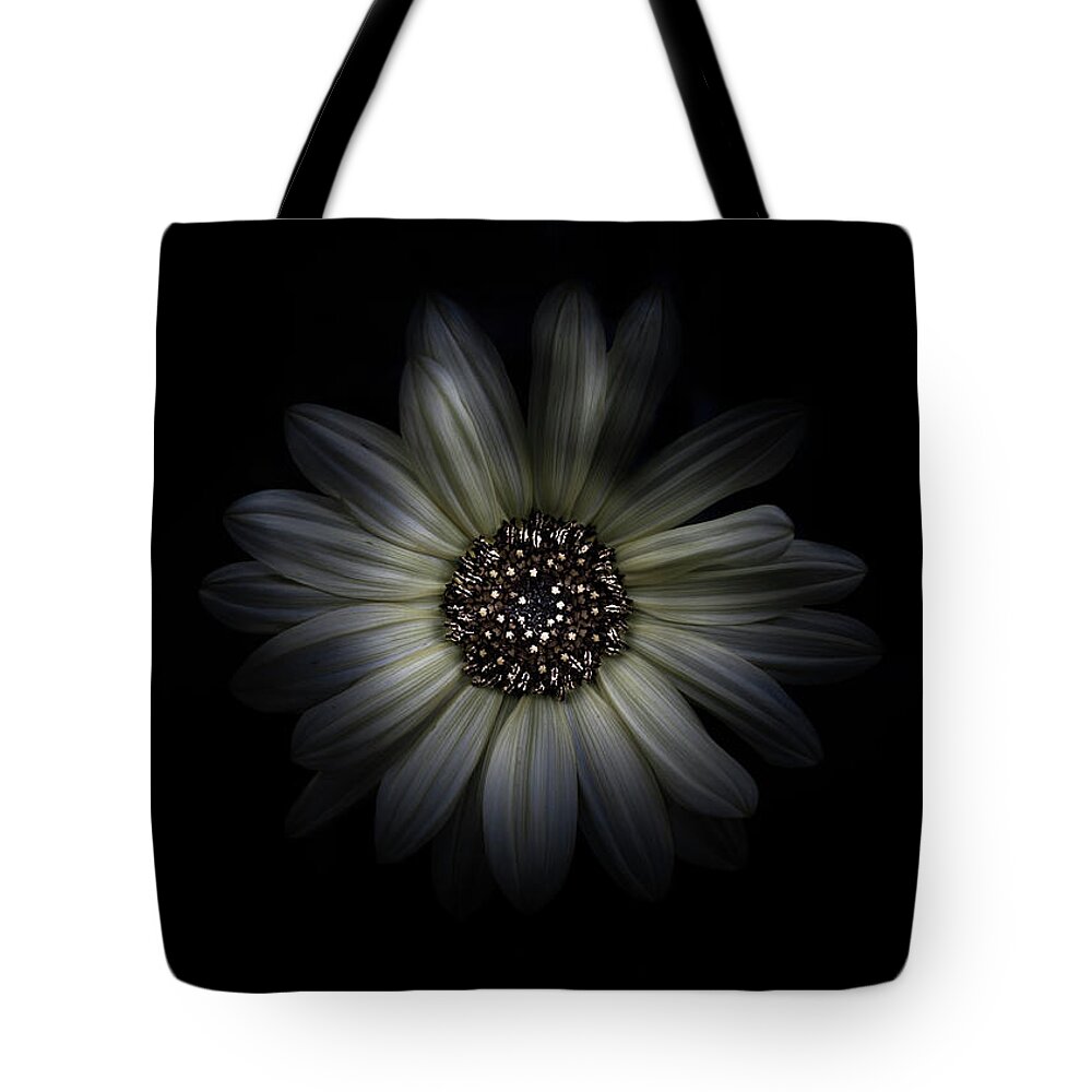 Brian Carson Tote Bag featuring the photograph Backyard Flowers 27 Color Version by Brian Carson