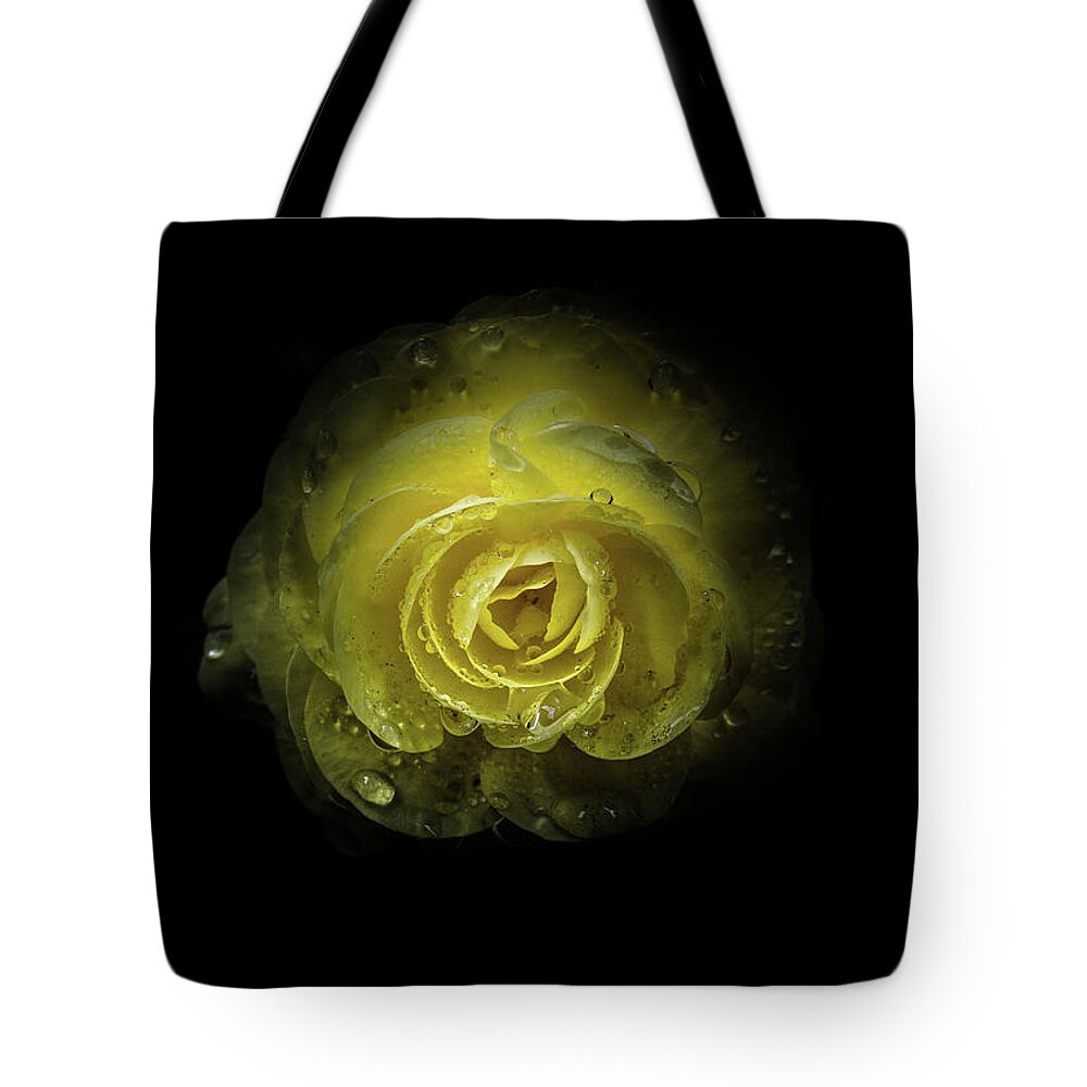 Brian Carson Tote Bag featuring the photograph Backyard Flowers 64 Color Version by Brian Carson