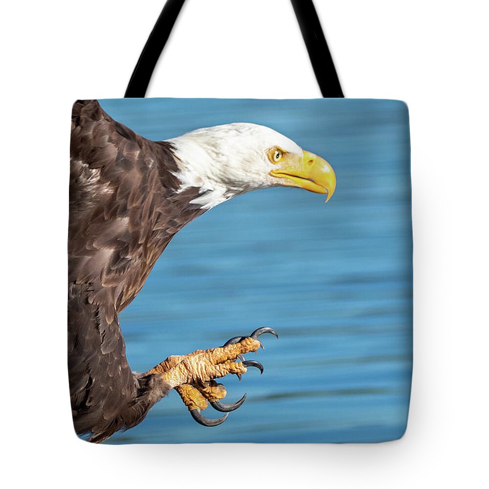 Bald Eagle Tote Bag featuring the photograph Bad Day to be a Fish by Randy Robbins