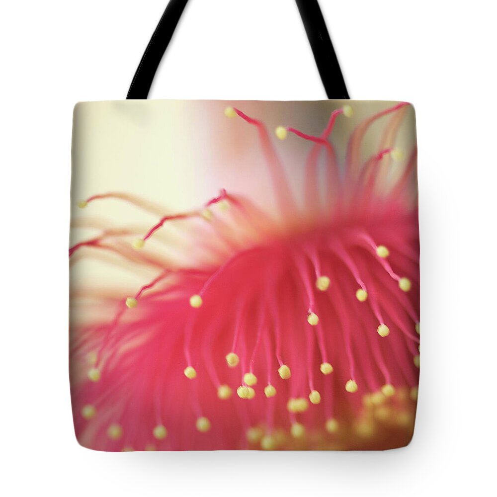 Outdoors Tote Bag featuring the photograph Bad Hair Day by Sharon Lapkin