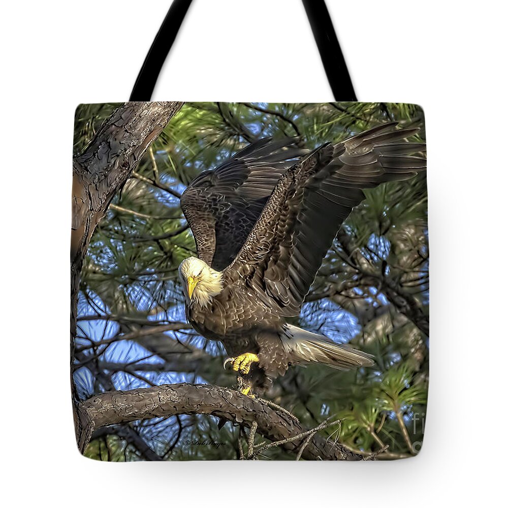 Eagles Tote Bag featuring the photograph Bald Eagle by DB Hayes