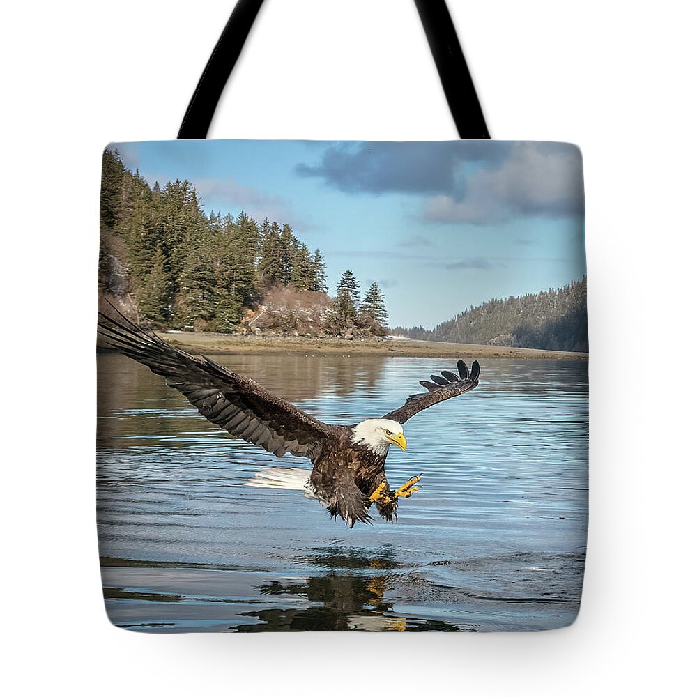 Alaska Tote Bag featuring the photograph Bald Eagle Fishing in Sadie Cove by James Capo