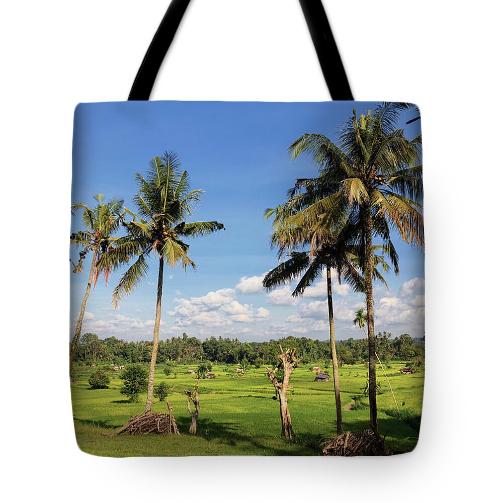Tranquility Tote Bag featuring the photograph Bali, Indonesia, Rice Fields by Michele Falzone