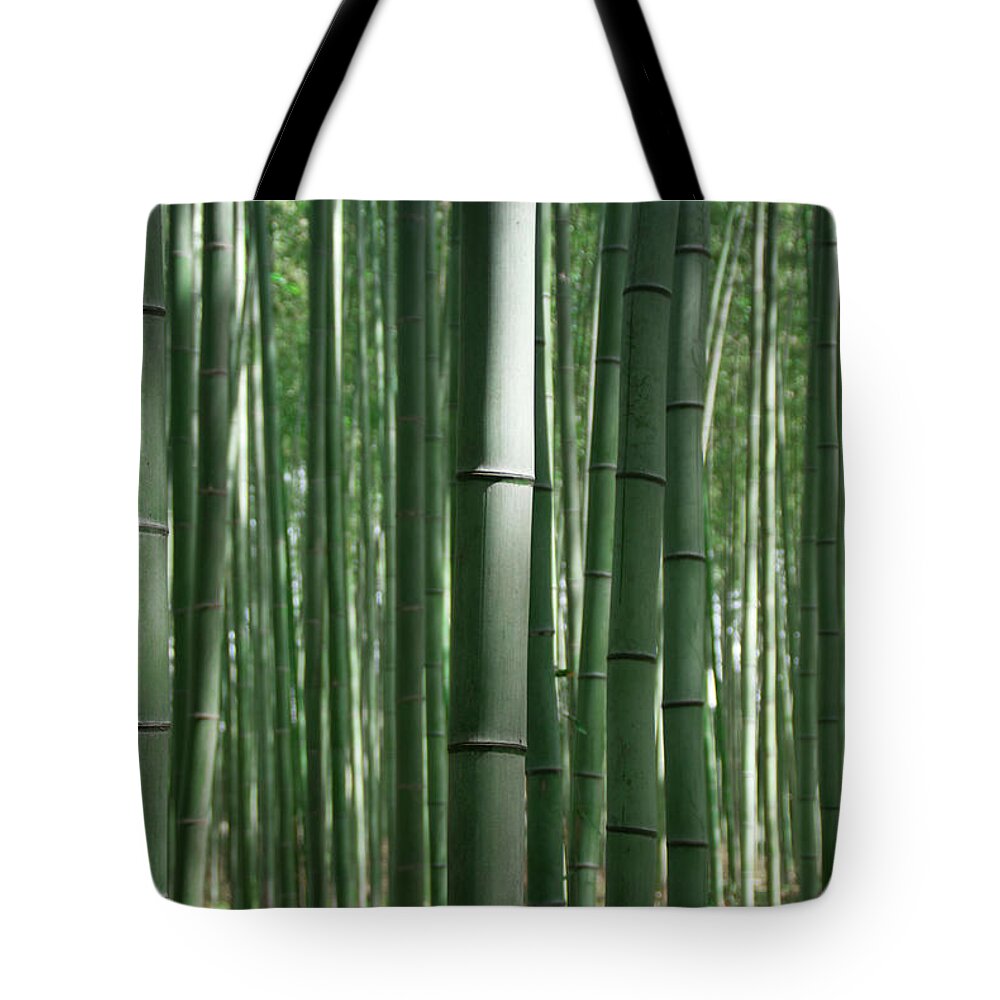 Bamboo Tote Bag featuring the photograph Bambo by Amaia Benito