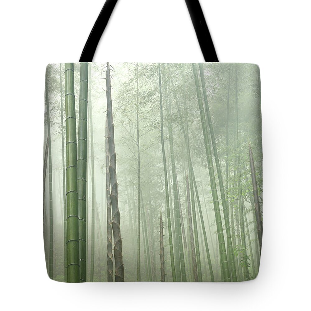 Chinese Culture Tote Bag featuring the photograph Bamboo Forest by Bihaibo