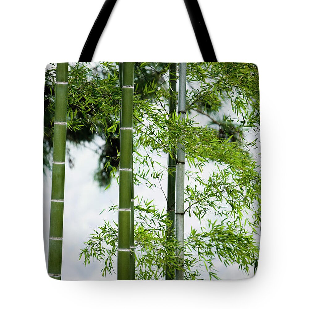 Bamboo Tote Bag featuring the photograph Bamboo by Mixa