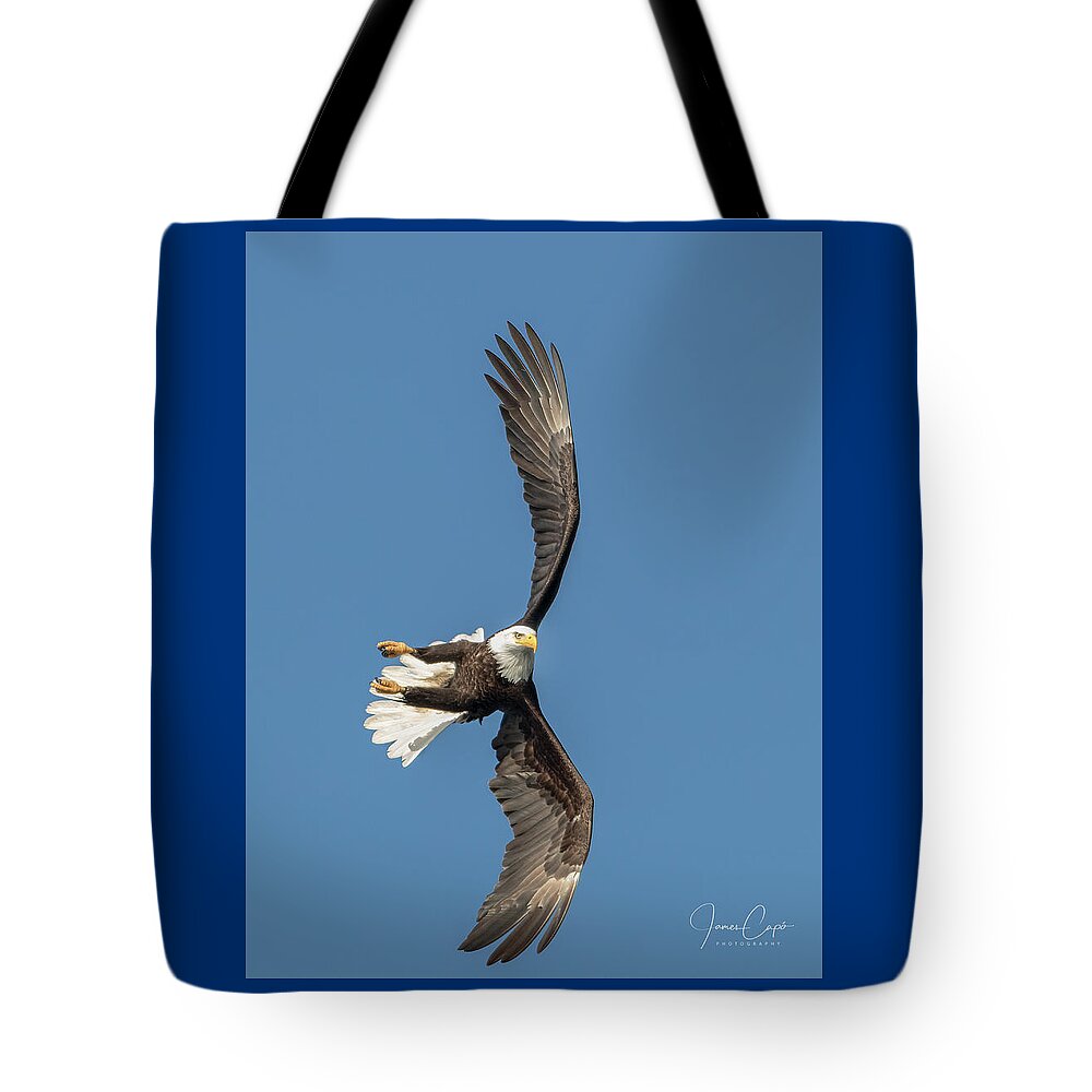 Alaska Tote Bag featuring the photograph Banking Bald Eagle by James Capo