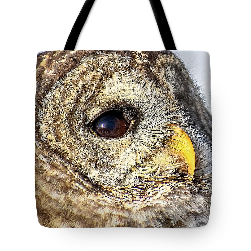 Owl Tote Bag featuring the pyrography Bard Owl by Michelle Wittensoldner