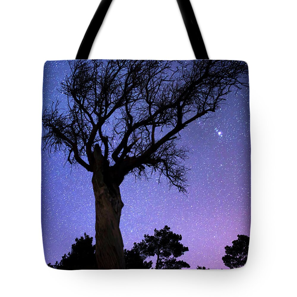 Scenics Tote Bag featuring the photograph Bare Tree Against Starry Sky By Night by Gm Stock Films