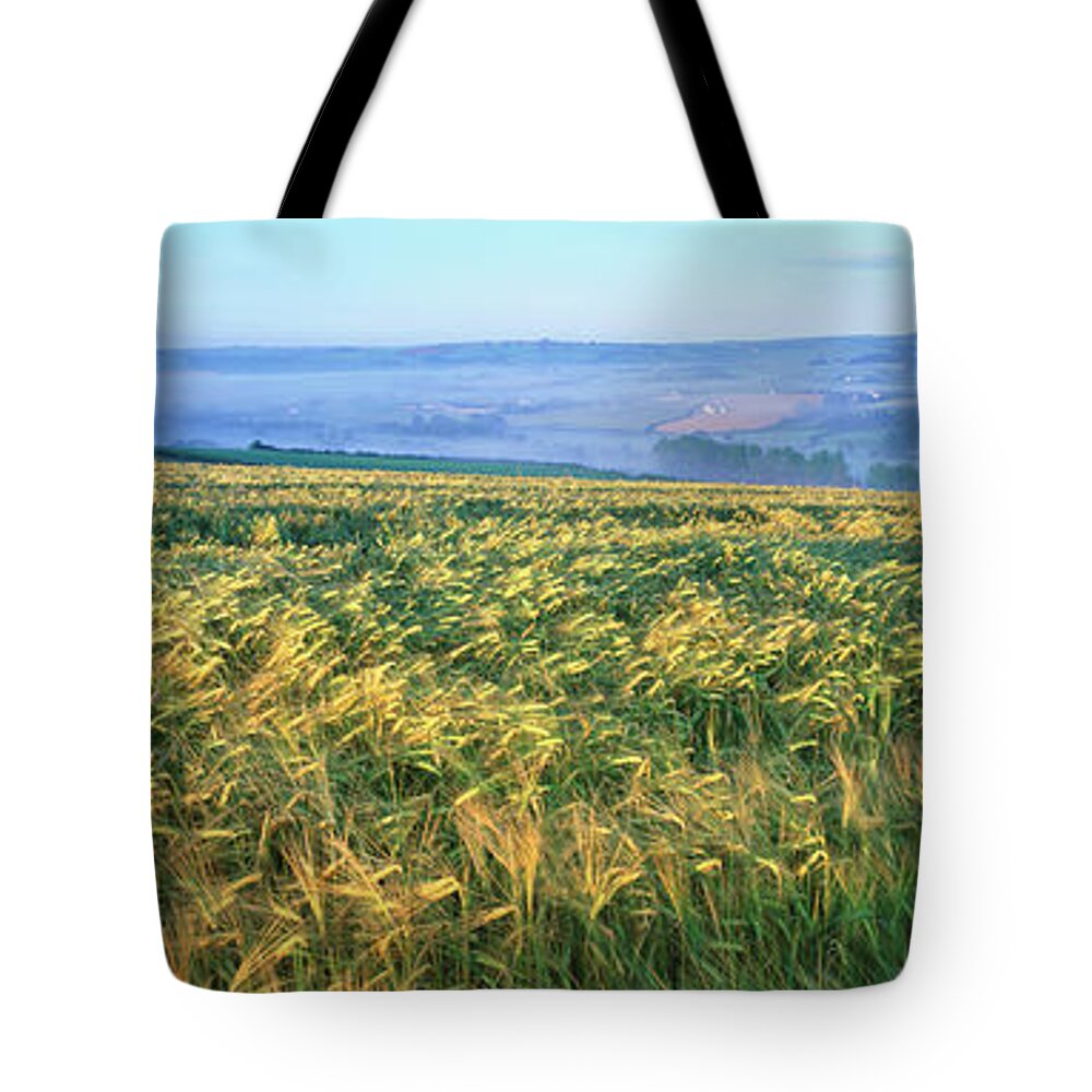 Tranquility Tote Bag featuring the photograph Barley Field, Devon, Uk by Peter Adams