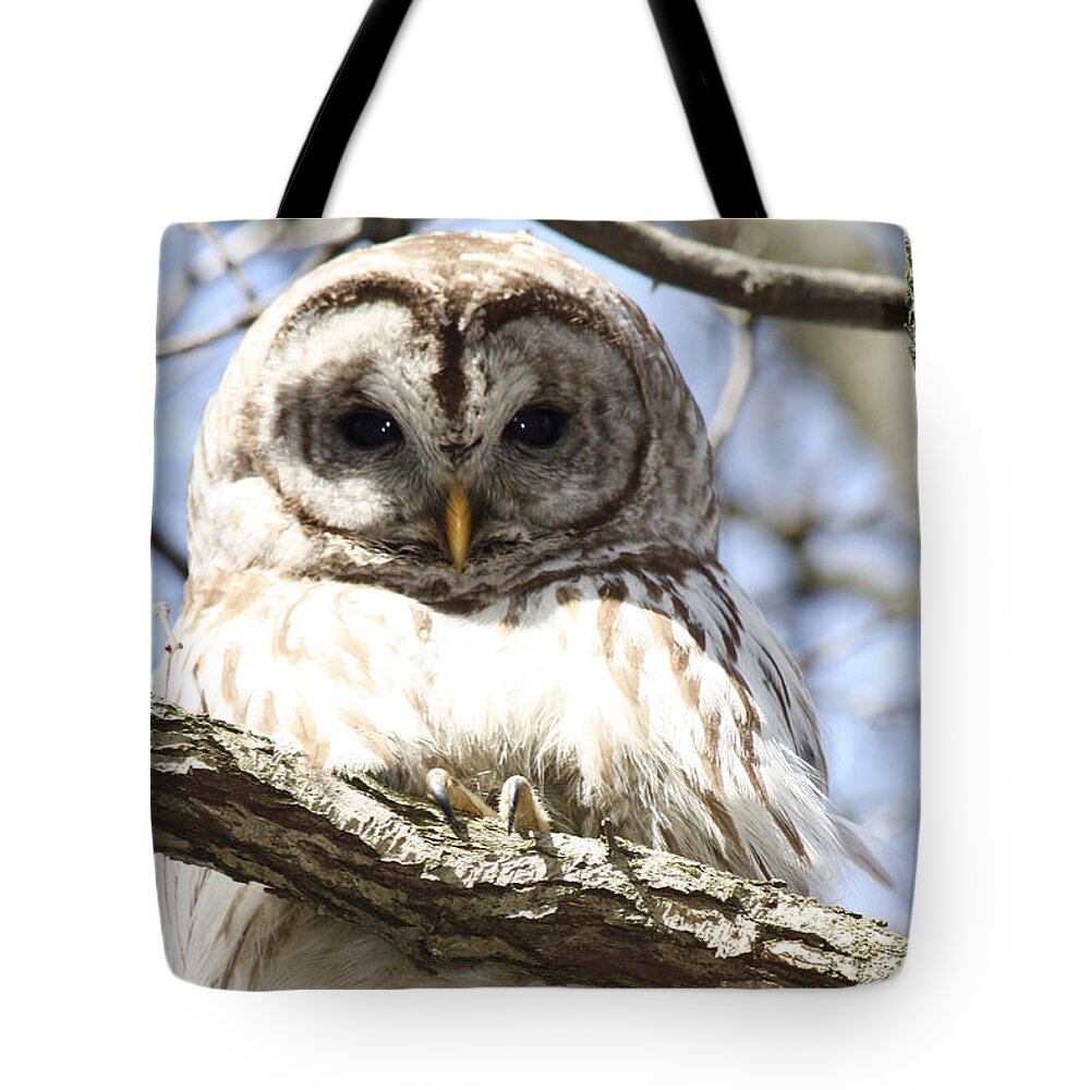 Nunweiler Tote Bag featuring the photograph Barred Owl by Nunweiler Photography
