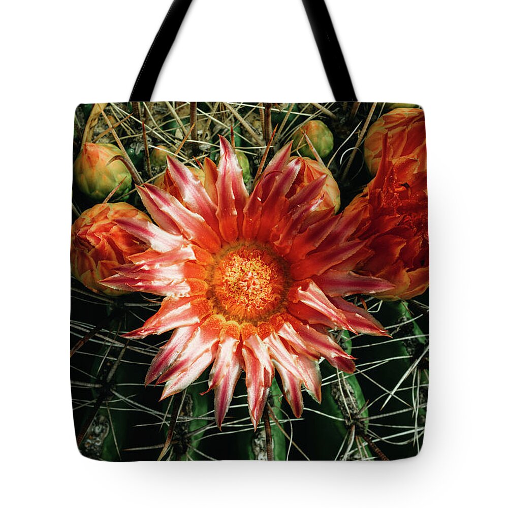 Cactus Tote Bag featuring the photograph Barrel Bloom 2 by Melisa Elliott