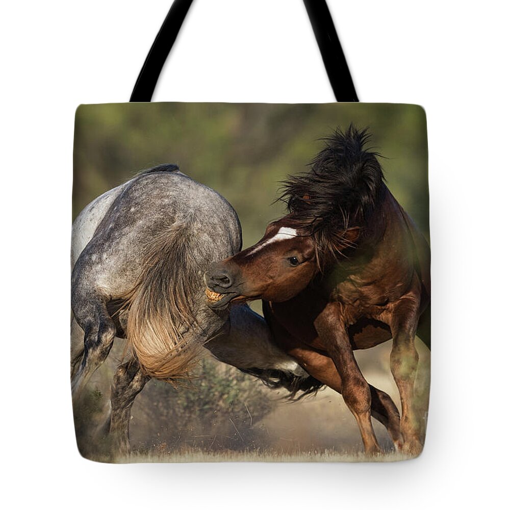 Battle Tote Bag featuring the photograph Battle by Shannon Hastings