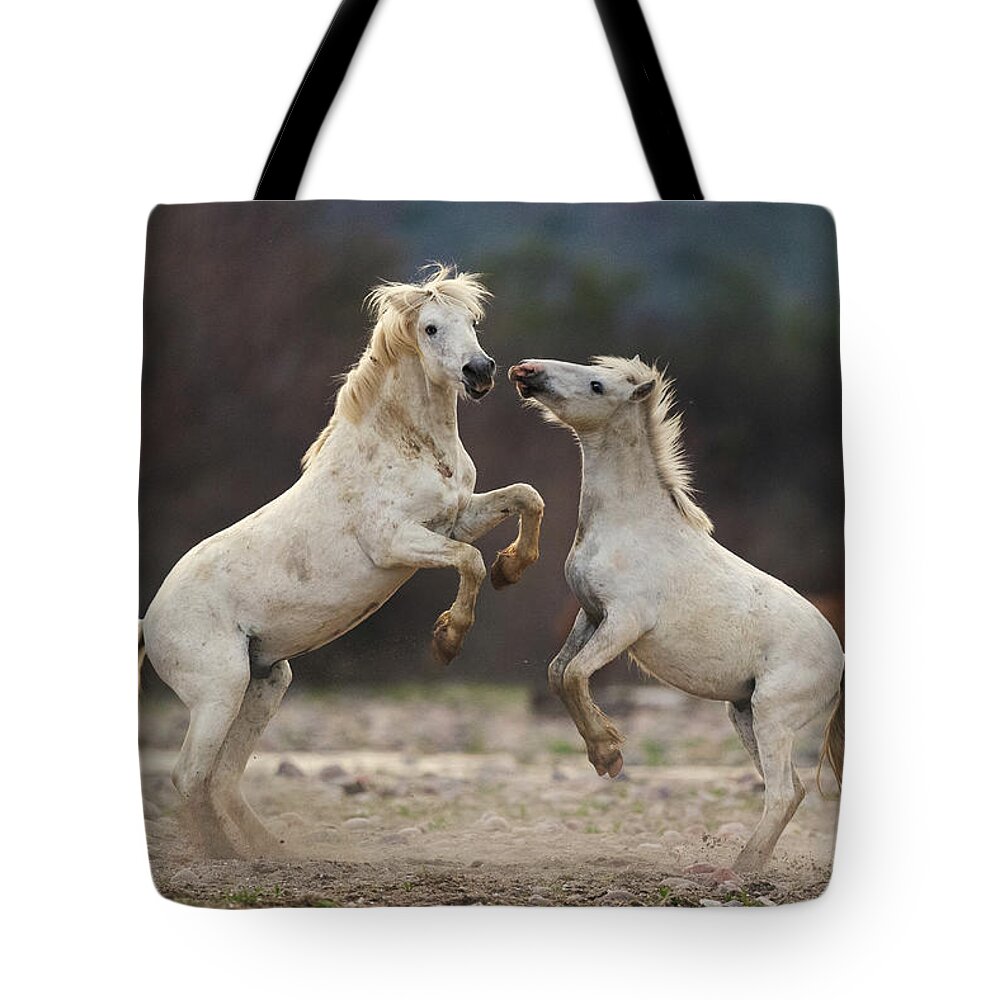 Battle Tote Bag featuring the photograph Battling Stallions by Shannon Hastings
