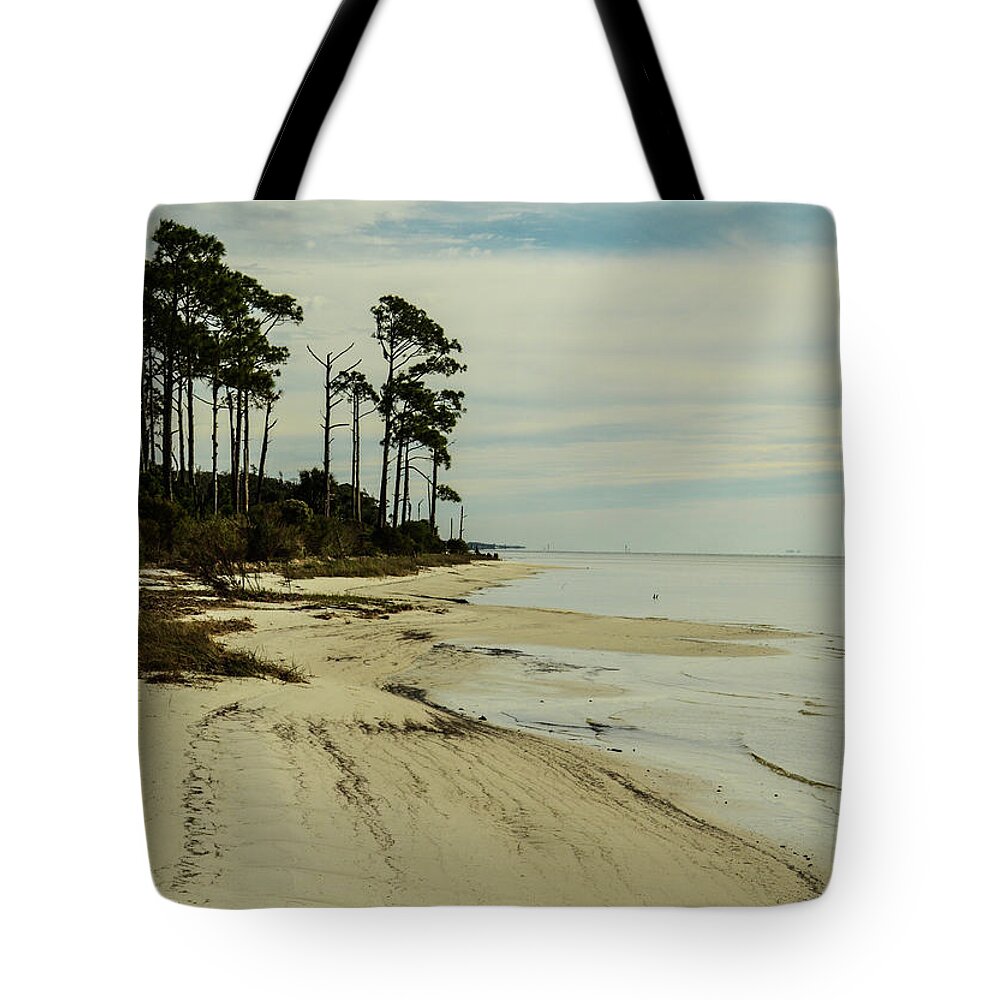 Beach Tote Bag featuring the photograph Beach and Trees by Maggy Marsh
