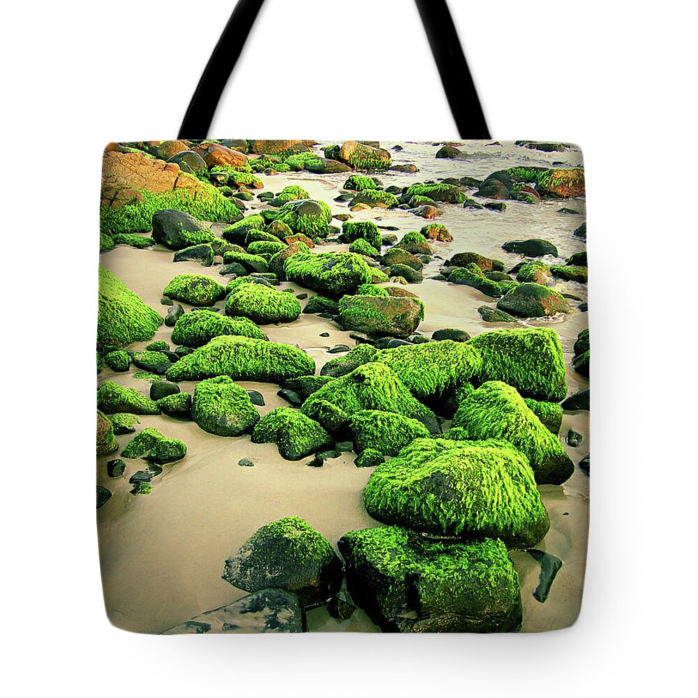 Tranquility Tote Bag featuring the photograph Beach Rocks Covered With Seaweed by Andre Bernardo