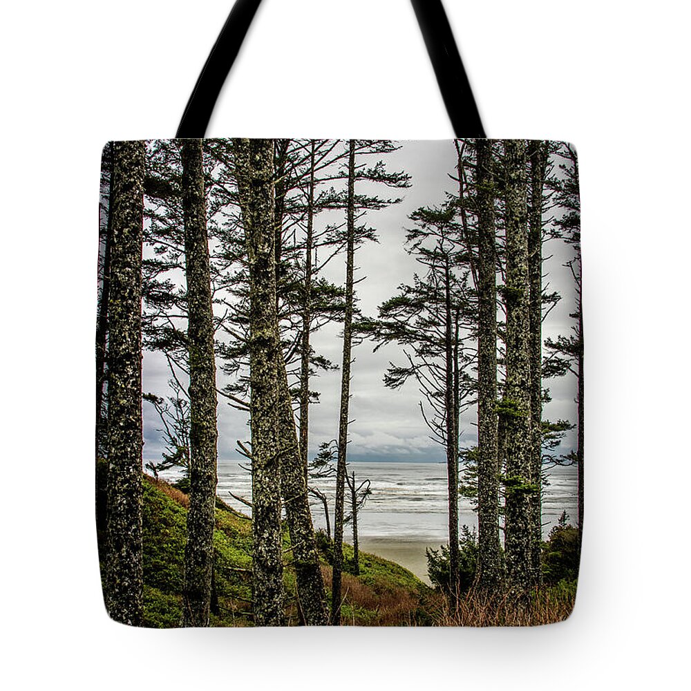 Trees Tote Bag featuring the photograph Beach Trees by Jerry Cahill