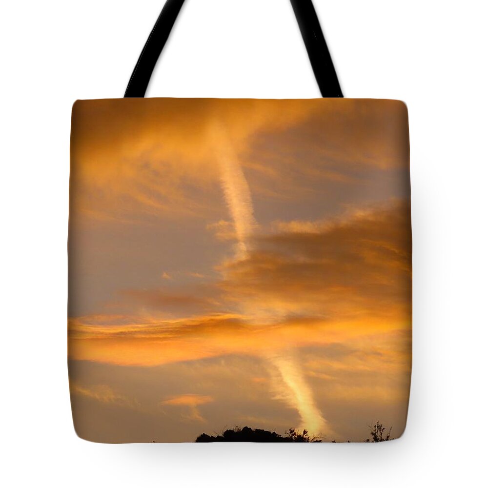 Aliens Tote Bag featuring the photograph Beaming Up Scotty by Judy Kennedy