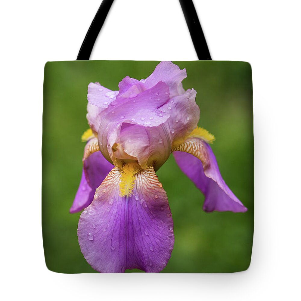 Iris Tote Bag featuring the photograph Bearded Iris by Lisa Lemmons-Powers