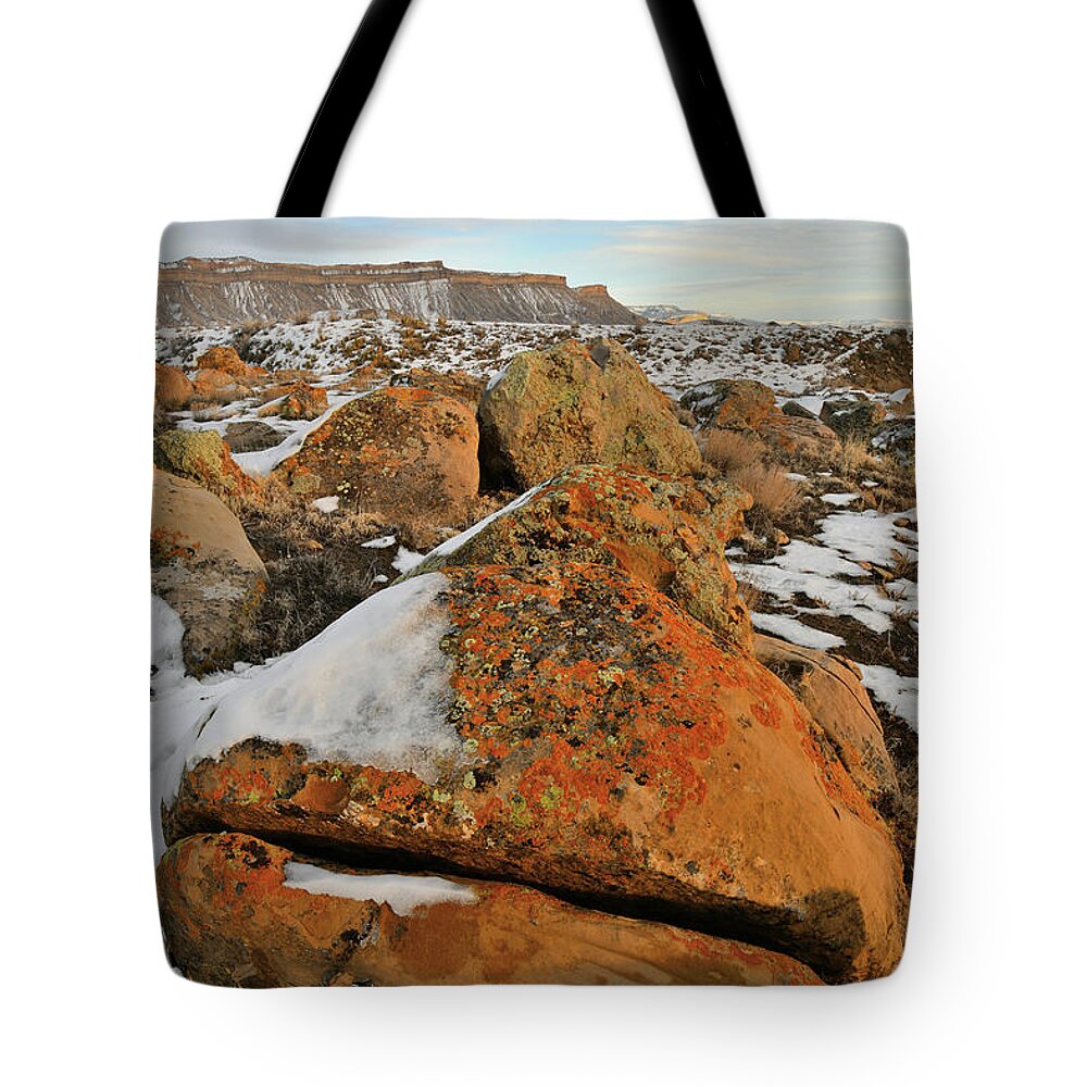 Book Cliffs Tote Bag featuring the photograph Beautiful Boulder Field of the Book Cliffs by Ray Mathis